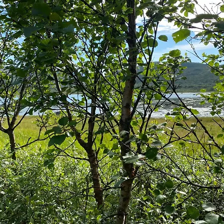 Luksustelt Lavvu Karlsøy
