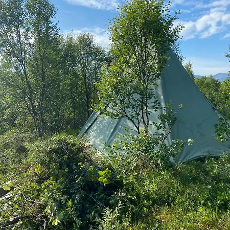 Lavvu Karlsøy